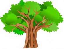 Profilo Associazione